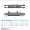 4.1 - Hydraulic Cylinder-Ajustable Clevis Type Cylinders-WC-300PSI